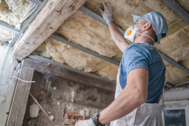 Best Attic Insulation Installation  in Martinsburg, PA