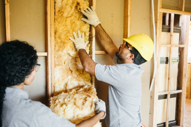 Best Blown-in Insulation  in Martinsburg, PA